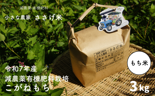 先行予約 減農薬有機肥料栽培 新潟県産こがねもち 3kg もち米 [10月下旬から発送予定] 令和7年産 [小さな農家ささげ米] 10000円以下 1万円以下 【010S439】