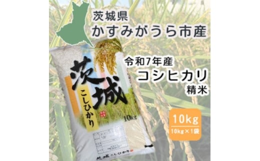 令和7年産　茨城県かすみがうら市産　精米　コシヒカリ　10kg【1662549】
