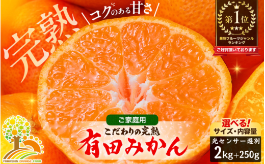 有田 みかん 訳あり 4kg 光センサー 選別 / 温州みかん 有田みかん 甘い 家庭用 和歌山 柑橘 ※12月順次発送 ※沖縄・離島への配送不可【nuk004-c-4-decC】 1531480 - 和歌山県広川町