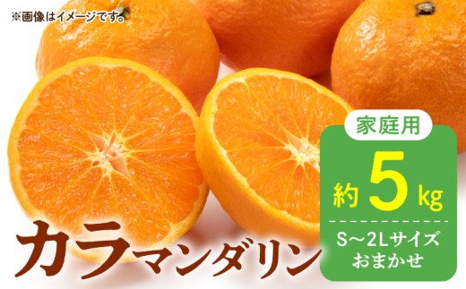 DZ6029n_[ふるさと納税][2026年先行予約]ご家庭用 カラマンダリン なつみ 和歌山 有田 S〜2Lサイズ 大きさお任せ 約5kg