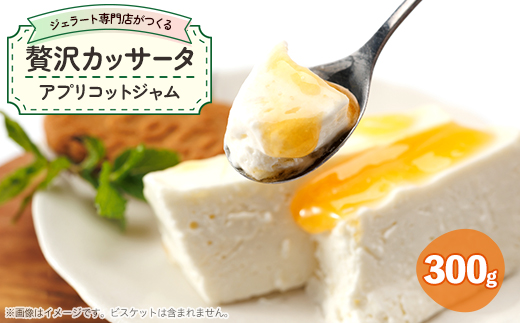 ジェラート専門店がつくる贅沢カッサータ(アプリコット)【1557292】 1685572 - 徳島県阿南市