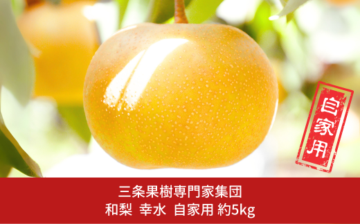 和梨 幸水 自家用 約5kg 令和7年度 新潟県 三条市産 梨 [三条果樹専門家集団] 【010P047】