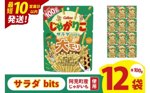 【10営業日以内に出荷】カルビー じゃがりこサラダ bits 大モリ（100g）×12個｜Calbee お菓子 菓子 おやつ おかし ぽてち ポテチ スナック おつまみ ジャガイモ じゃがいも（93-52）