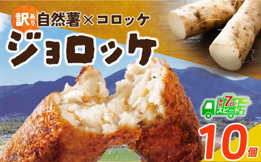 U19-09 自然薯たっぷり！福智町産じねんじょコロッケ【訳あり・冷凍・スピード発送】 ジョロッケ 10個セット じねんじょ 山芋 野菜 グルメ 取り寄せ ご当地 特産 産地 直送人気 オススメ 惣菜 訳あり わけあり 訳アリ  2136926 - 福岡県福智町