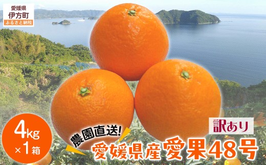 [先行予約][数量限定][訳あり]＼農園直送/愛媛県産愛果48号 約4kg(2026年2月下旬より順次発送) [ ふるさと納税 人気 おすすめ ランキング 柑橘 みかん ミカン 蜜柑 愛果48号 果物 フルーツ 訳あり 産地直送 農園直送 岡市農園 愛媛県産 愛媛県 伊方町 送料無料 ]I
