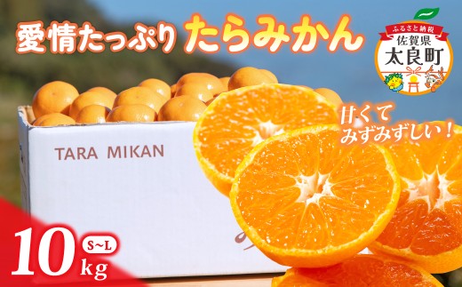  N-199 愛情たっぷりたらみかん 10kg　みかん ミカン 蜜柑 たらみかん 温州みかん 完熟みかん 甘熟 柑橘 有機栽培 国産 佐賀県産 太良町 こだわり 贈答品 産地直送 詰め合わせ 極甘 小玉