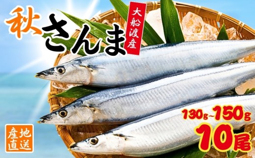 鮮さんま 10本 (1本あたり130～150g) 秋刀魚 大船渡 生さんま さんま 鮮魚 大船渡 岩手 