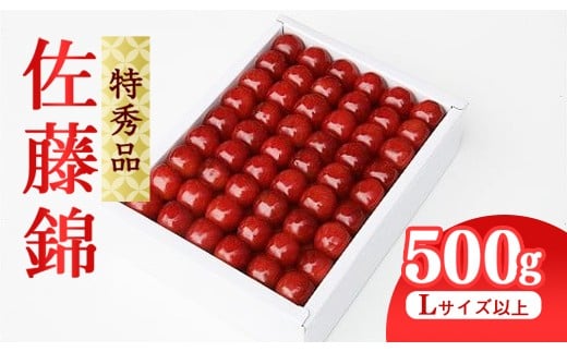 《先行予約》 令和8年産 【厳選】 さくらんぼ 「 佐藤錦 」 500g 特秀品 L以上 化粧詰 2026年産 山形県産 【2026年6月上旬頃～6月下旬頃発送予定】 ※配送不可 沖縄・離島 039-A-JA045