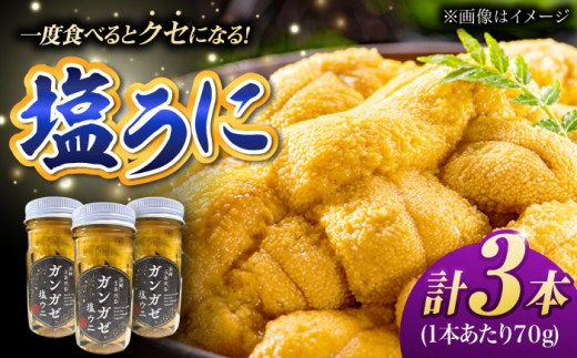 厄介うに ガンガゼ塩うに 70g×3本 五島市 / うた丸 [PGA001]  ウニ 雲丹 ガンガゼうに ガンガゼウニ 海鮮 魚介 長崎 九州 五島 五島列島 セット  1236143 - 長崎県五島市