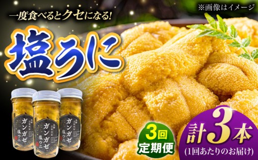 【全3回定期便】厄介うに ガンガゼ塩うに 70g×3本 / ウニ 雲丹 五島市 / うた丸 [PGA003] 2107587 - 長崎県五島市