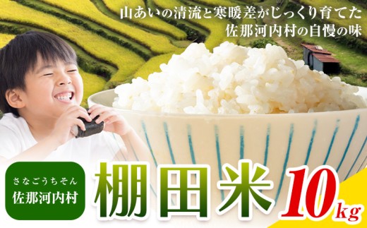 清流と寒暖差が生む村自慢の「棚田米」 10kg《10月上旬より発送》徳島県 佐那河内村 棚田米 米 白米