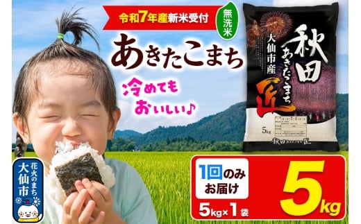 <令和7年産 新米受付>米【無洗米】秋田県大仙市産 あきたこまち 精米 5kg 令和7年産 2275412 - 秋田県大仙市