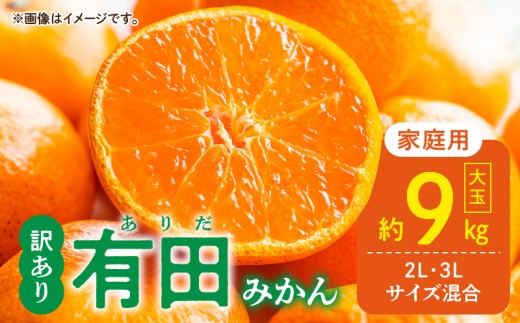 DZ6217_【ふるさと納税】ご家庭用 有田みかん 大玉 (2L 3Lサイズ混合) 約9kg
