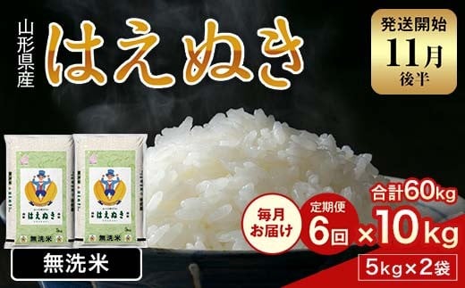 FYN2-004 【6回定期便・11月後半発送】令和7年産 新米 山形県産 はえぬき 10kg 2025年 お米 米 米米 ごはん ご飯 白米 国産 ブランド米 節水 時短 冷めてもおいしい贈答 ギフト 家庭用 自宅用 お取り寄せ 食品 山形県 西川町 月山 