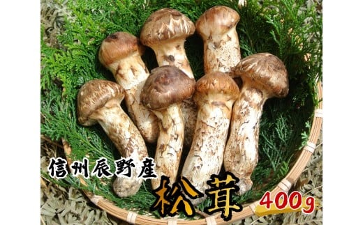 061 辰野産 天然松茸 400g