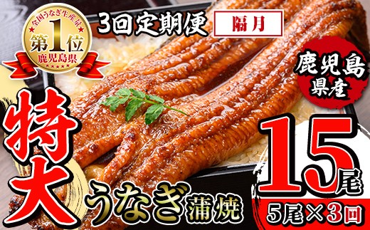 i1176-B ＜定期便・計3回(隔月)＞＼特大サイズ／鹿児島県産 うなぎ蒲焼 5尾セット ＜（約220g×5・計約1100g）×全3回＞ 定期便 たれ 山椒付きうなぎ 鰻 ウナギ 特大 特大サイズ 約220g 蒲焼き 国産 鹿児島県産 焼きたて 生産量日本一 真空パック おかず 晩御飯 特別な日 土用の丑の日 【薩摩川内鰻】