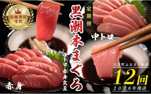 【定期便12回】日本一!黒潮本まぐろ 中トロ・赤身（交互） 2262722 - 高知県大月町