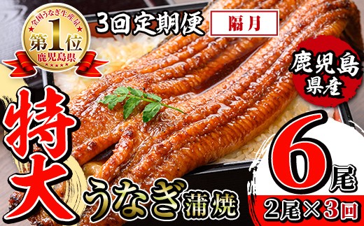 i1172-B [定期便・計3回(隔月)]＼特大サイズ/鹿児島県産 うなぎ蒲焼 2尾セット[(約220g×2・計約440g)×全3回] 定期便 たれ 山椒付きうなぎ 鰻 ウナギ 特大 特大サイズ 約220g 蒲焼き 国産 鹿児島県産 焼きたて 生産量日本一 真空パック おかず 晩御飯 特別な日 土用の丑の日 [薩摩川内鰻]