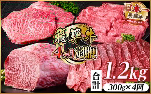 ＜毎月定期便＞飛騨牛 赤身定期便 計1.2kg 焼肉 BBQ すき焼き しゃぶしゃぶ ブロック全4回【4072753】