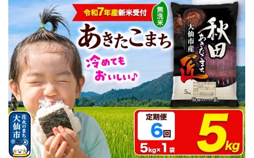 ＜令和7年産 新米受付＞《定期便6ヶ月》米【無洗米】秋田県大仙市産 あきたこまち 精米 5kg 令和7年産 2275417 - 秋田県大仙市