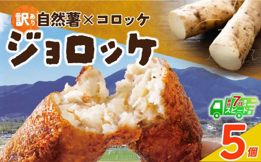 U19-06 自然薯たっぷり！福智町産じねんじょコロッケ【訳あり・冷凍・スピード発送】ジョロッケ 5個セット じねんじょ 山芋 野菜 グルメ 取り寄せ ご当地 特産 産地 直送人気 オススメ 惣菜 2136923 - 福岡県福智町