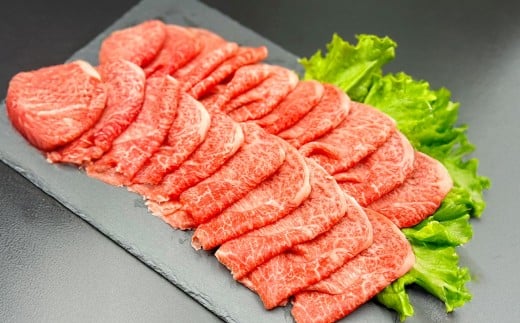 【2カ月定期便】 【赤身づくし！】 おおいた和牛 赤身焼肉・赤身スライス・赤身ステーキ 約2.4kg（各約400g×6）×2回 計約4.8kg