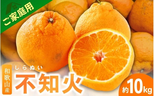 ＜2月より発送＞【先行予約】家庭用不知火10kg+250g（傷み補償分）【デコポンと同品種・人気の春みかん】【わけあり・訳あり】 / 和歌山 みかん 果物 ミカン フルーツ 果実 柑橘 デコポン【ikd232】 2275078 - 和歌山県北山村