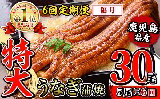 i1177-B ＜定期便・計6回(隔月)＞＼特大サイズ／鹿児島県産 うなぎ蒲焼 5尾セット ＜（約220g×5・計約1100g）×全6回＞ 定期便 たれ 山椒付きうなぎ 鰻 ウナギ 特大 特大サイズ 約220g 蒲焼き 国産 鹿児島県産 焼きたて 生産量日本一 真空パック おかず 晩御飯 特別な日 土用の丑の日 【薩摩川内鰻】 2274026 - 鹿児島県出水市