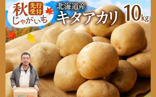 先行受付！ホクホク！しっとりなめらか！ 北海道産 キタアカリ いも じゃがいも きたあかり イモ 約10kg じゃがいも いも 芋 産地直送 秋_S041-0008 2137044 - 北海道清水町
