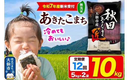 ＜令和7年産 新米受付＞《定期便12ヶ月》米【無洗米】秋田県大仙市産 あきたこまち 精米 10kg（5kg×2袋）令和7年産