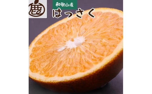 ＜先行予約＞厳選はっさく2.5kg+250g（傷み補償分）【八朔みかん】＜1月より発送＞※北海道・沖縄・離島への配送不可【ikd138A】 2275050 - 和歌山県北山村