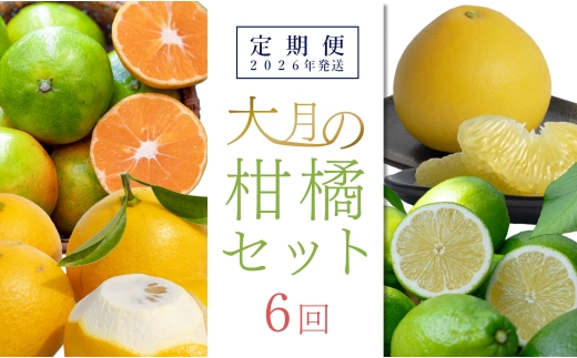 【定期便 6回】大月町旬の柑橘セット