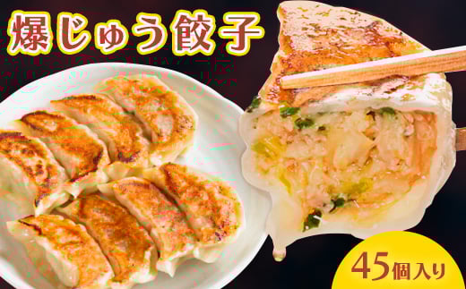 爆じゅう餃子　45個入り【1209776】