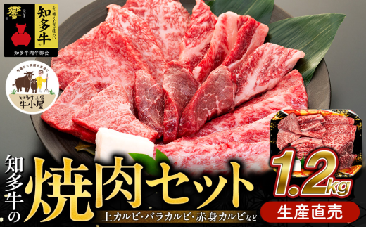 知多牛 響 焼肉セット 1.2kg 上カルビ バラカルビ 赤身カルビ 生産直売 国産 牛肉 焼肉 肉 カルビ 牛 牛肉 焼肉 肉 カルビ 牛 ワイン 焼肉 肉 カルビ 牛 牛丼 牛肉 焼肉 肉 国産牛 カルビ 牛 BBQ 牛肉 焼肉 肉 カルビ 牛 ふるさと納税牛肉 ふるさと納税焼肉 ふるさと納税カルビ 牛肉 焼肉 肉 牛 バーベキュー 愛知県 南知多町 人気 おすすめ