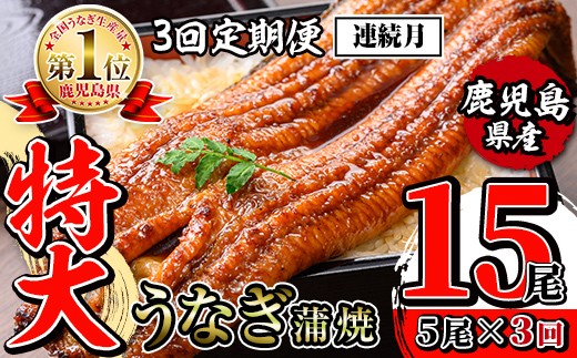 i1176-A ＜定期便・計3回(連続月)＞＼特大サイズ／鹿児島県産 うなぎ蒲焼 5尾セット ＜（約220g×5・計約1100g）×全3回＞ 定期便 たれ 山椒付きうなぎ 鰻 ウナギ 特大 特大サイズ 約220g 蒲焼き 国産 鹿児島県産 焼きたて 生産量日本一 真空パック おかず 晩御飯 特別な日 土用の丑の日 【薩摩川内鰻】