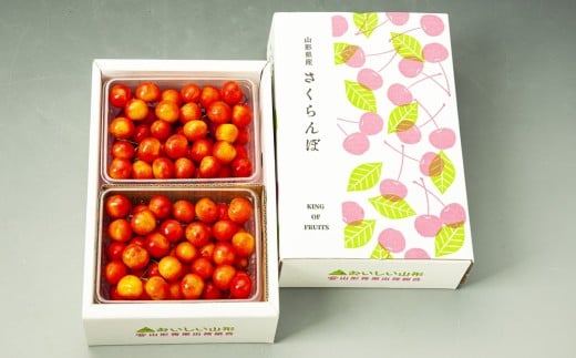 さくらんぼ（佐藤錦か紅秀峰）１ｋｇ　秀品　0020-2604