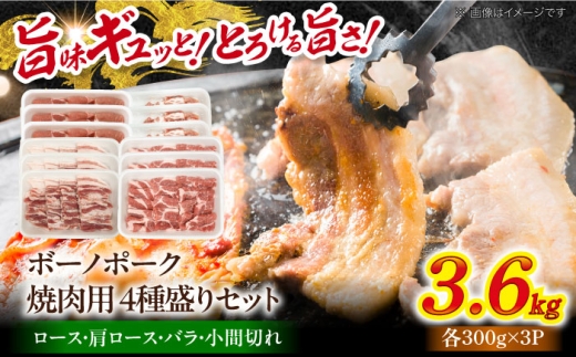 瑞浪ボーノポーク 焼肉用 4種盛りセット (ロース・肩ロース・バラ・小間切れ) 計3.6kg 瑞浪市 / マルチョウ渡辺精肉店 冷凍 小分け 豚肉 国産 [AZCW040]