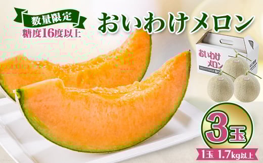 ＜数量限定＞ おいわけメロン 糖度16度以上　1.7kg以上×3玉入【1000244】