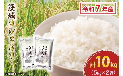 令和7年産 茨城 コシヒカリ 10kg (5㎏×２袋) 新米 米 お米 おこめ 白米 ライス ご飯 精米 こしひかり 国産 茨城県産