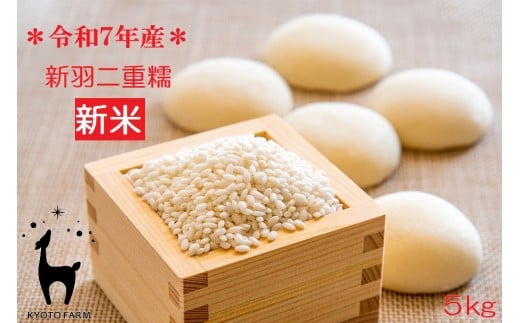 【新米先行受付】【京都ファーム】令和7年産 京都ファームのもち米 新羽二重糯5kg 12月発送［ 京都 京北産 もち米 人気 おすすめ 米 コメ おこめ お取り寄せ 通販 送料無料 ふるさと納税 ］