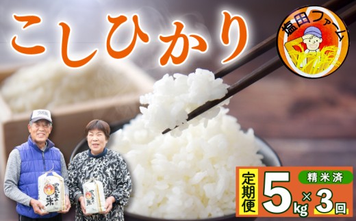 コシヒカリ 5kg 定期便 3回 令和7年産 米 こめ ご飯 ごはん おにぎり 白米 精米 卵かけご飯 食品 備蓄 備蓄米 保存 防災 ギフト 贈答 プレゼント お取り寄せ グルメ 送料無料 徳島県 阿波市 塩田ファーム