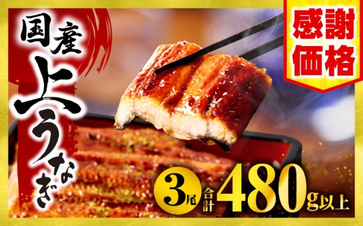 【数量・期間限定】九州産うなぎ蒲焼3尾（計480g以上＆さんしょう、たれ付き）_M040-012