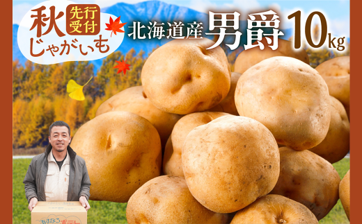 先行受付！ホクホク！しっとりなめらか！ 北海道産 男爵 いも じゃがいも 男爵いも 約10kg じゃがいも いも 芋 産地直送 秋_S041-0006 2137041 - 北海道清水町