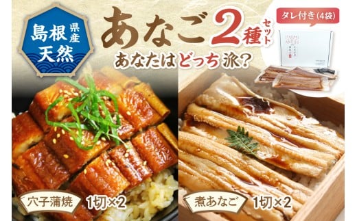 あなご2種セット 魚介類 魚 穴子 蒲焼き 煮穴子 セット 食べ比べ [156_2012]