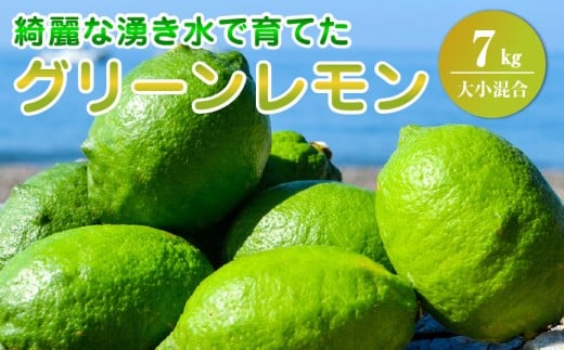 EA6113_ グリーンレモン 内容量 7kg 大小混合 レモン 柑橘 綺麗 湧き水 フレッシュ 爽やか 酸味 ジューシー 香り こだわり 料理 お酒に合う レモンサワー 炭酸水 フルーツ お取り寄せ 和歌山県 湯浅町 送料無料