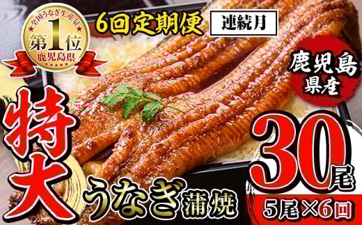 i1177-A ＜定期便・計6回(連続月)＞＼特大サイズ／鹿児島県産 うなぎ蒲焼 5尾セット ＜（約220g×5・計約1100g）×全6回＞ 定期便 たれ 山椒付きうなぎ 鰻 ウナギ 特大 特大サイズ 約220g 蒲焼き 国産 鹿児島県産 焼きたて 生産量日本一 真空パック おかず 晩御飯 特別な日 土用の丑の日 【薩摩川内鰻】 2274025 - 鹿児島県出水市