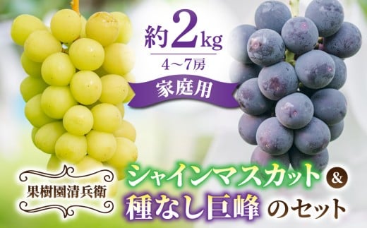 先行受付2025年発送【果樹園清兵衛】ご家庭用シャインマスカットと種無し巨峰の詰め合わせ　約2kg（4〜7房）※2025年9月中旬～10月上旬順次発送