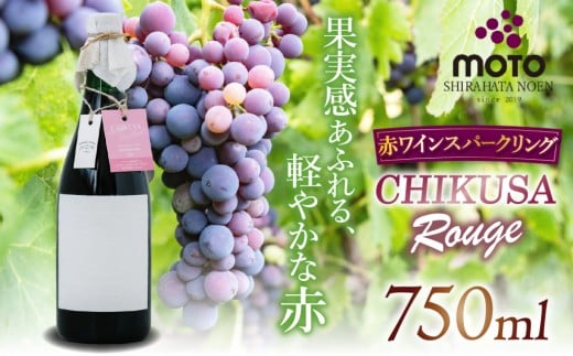 MOTO Wine Chikusa Rouge | 兵庫県 上郡町 マスカット ベーリーＡ フルボトル ステンレスタンク ワイン 赤ワイン 2274547 - 兵庫県上郡町