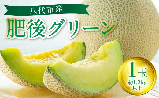 【先行予約】 八代市産 肥後グリーン 1玉 （約1.3kg以上） 熊本 メロン 果物 くだもの フルーツ 青肉メロン 青肉  【2026年6月中旬より順次発送】