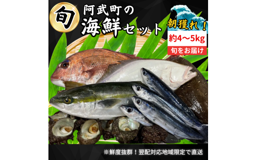 山口県 阿武町 道の駅 厳選 ！ 当日水揚げ 鮮魚 セット 約4～5kg 新鮮 豪華 旬 獲れたて 魚 さかな サザエ 海鮮